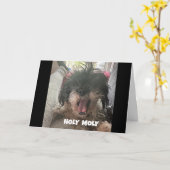 深刻な犬が「40歳の誕生日おめでとう」と言う カード (黄色い花)