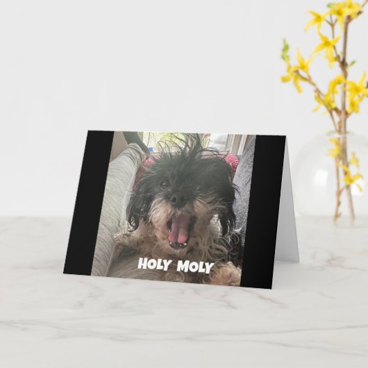 深刻な犬が「40歳の誕生日おめでとう」と言う カード (黄色い花)