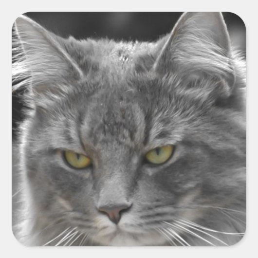 深刻な騒ぎ スクエアシール (正面)