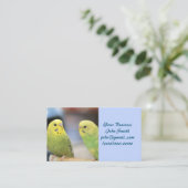 深刻なkeets 名刺 (スタンド正面)