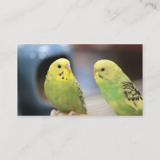 深刻なkeets 名刺 (裏面)