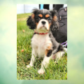 深刻 ウィンドウサイン (シート3)