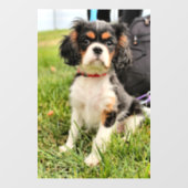 深刻 ウィンドウサイン (シート)