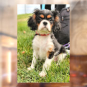 深刻 ウィンドウサイン (シート2)