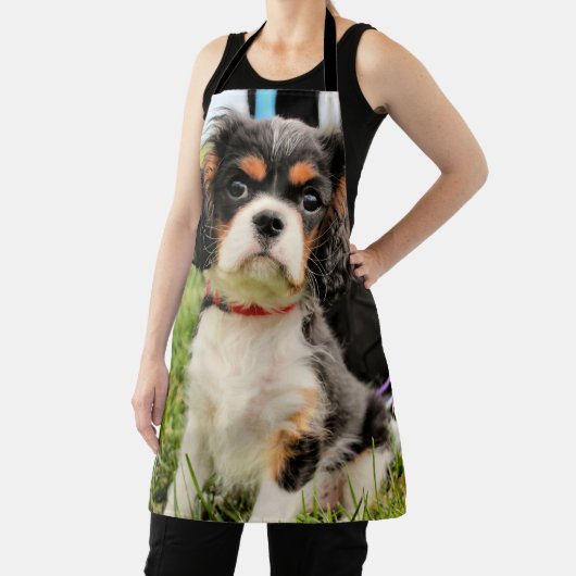 深刻 エプロン (インサイチュ)