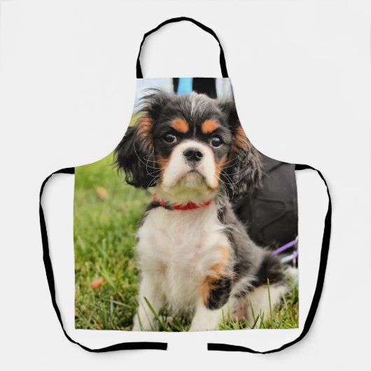 深刻 エプロン (正面)