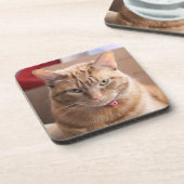 深刻 コースター (左側)