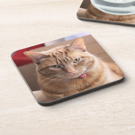 深刻 コースター (左側)