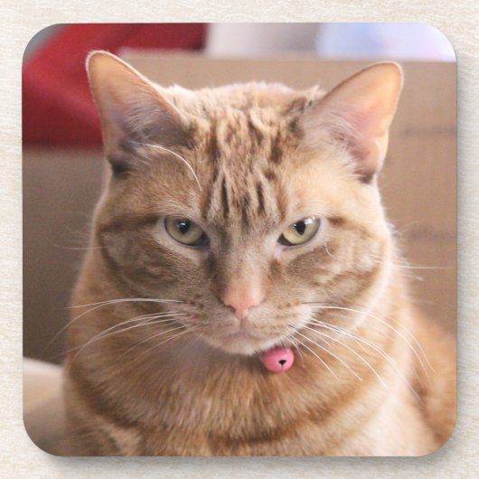 深刻 コースター (正面)