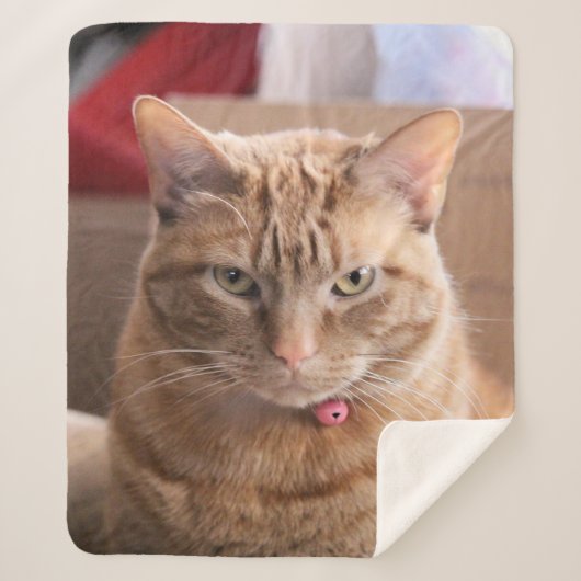 深刻 シェルパブランケット (正面)