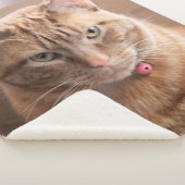 深刻 シェルパブランケット (3/4)