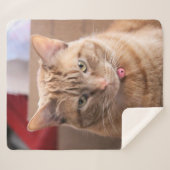 深刻 シェルパブランケット (正面(横))