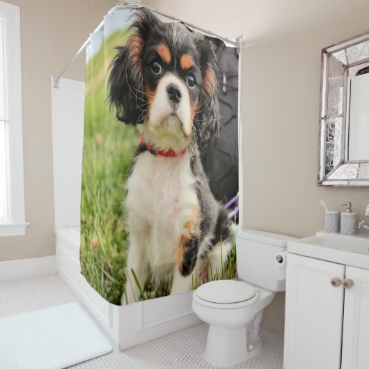 深刻 シャワーカーテン (インサイチュ)