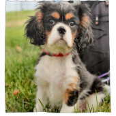 深刻 シャワーカーテン (正面)