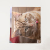 深刻 タペストリー (正面)