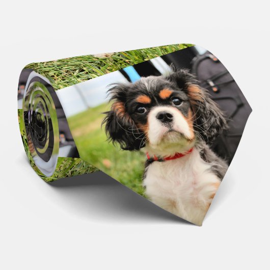 深刻 ネクタイ (ロール)