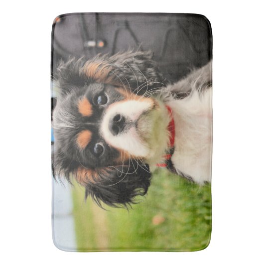 深刻 バスマット (正面縦)