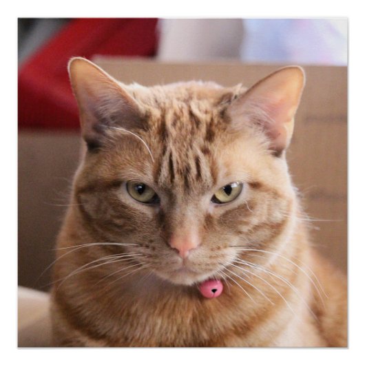 深刻 ポスター (正面)