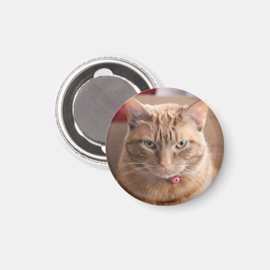 深刻 マグネット (正面/裏面)