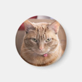 深刻 マグネット (正面)