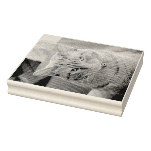 深刻 ラバースタンプ (スタンプ)