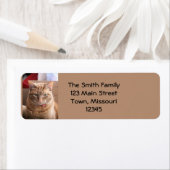 深刻 ラベル (インサイチュ)