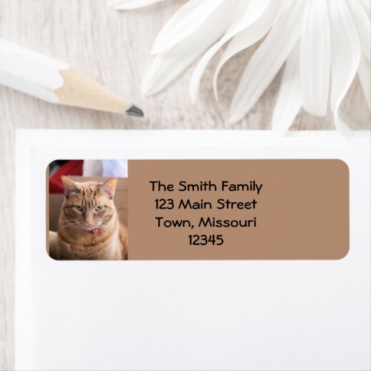 深刻 ラベル (インサイチュ)