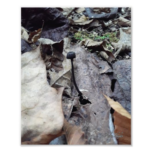 深夜帽子 フォトプリント            (正面)