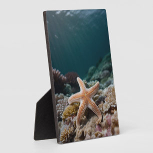 深海のヒトデ フォトプラーク