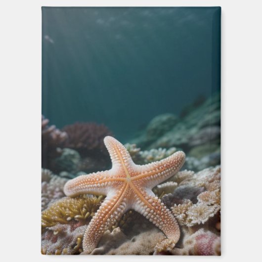 深海のヒトデ マグネット (正面)