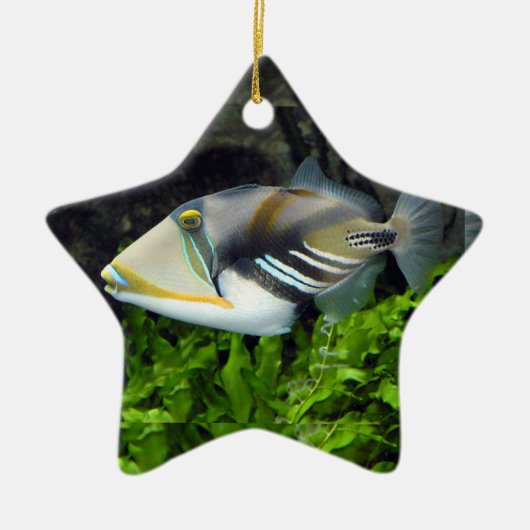 深海の魚 セラミックオーナメント (正面)