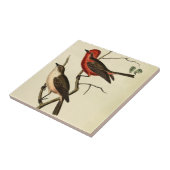 深紅によって戴冠させるFlycatcher タイル (側面)