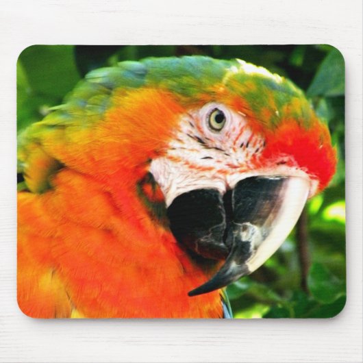 深紅のコンゴウインコのマウスパッド マウスパッド (正面)