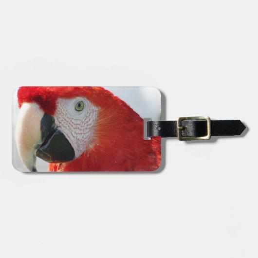 深紅のコンゴウインコの荷物のラベル ラゲッジタグ (正面横)