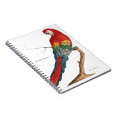 深紅のコンゴウインコ、Araマカオ ノートブック (右側)