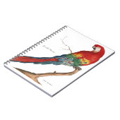 深紅のコンゴウインコ、Araマカオ ノートブック (左側)