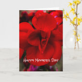 深紅のベゴニア カード (黄色い花)