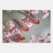 "深紅の三重奏：ピンクの花の中で赤いフィンチ" ラッピングペーパーシート (正面3)