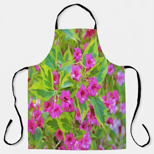 深紅の花が咲く美しい緑のワイゲラ エプロン (正面)