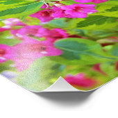 深紅の花が咲く美しい緑のワイゲラ フォトプリント            (角)