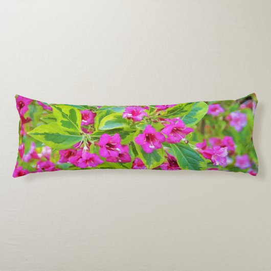 深紅の花が咲く美しい緑のワイゲラ ボディピロー (正面)