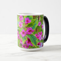 深紅の花が咲く美しい緑のワイゲラ