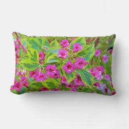 深紅の花が咲く美しい緑のワイゲラ ランバークッション