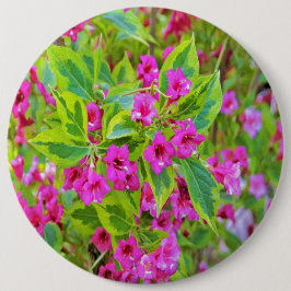 深紅の花が咲く美しい緑のワイゲラ 缶バッジ