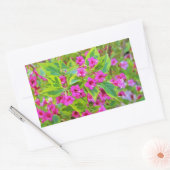 深紅の花が咲く美しい緑のワイゲラ 長方形シール (封筒)