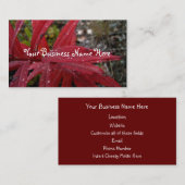 深紅の葉 名刺 (正面/裏面)