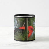 深紅フウキンチョウ族のマグ マグカップ (中央)