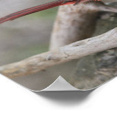 深紅色が現れると愛する者は近くにいる ポスター (角)