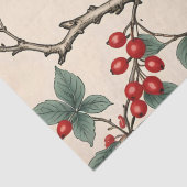 深紅色とレッドベリーの切り離し 薄葉紙 (詳細)