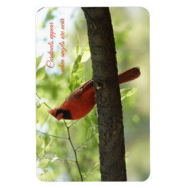 深紅色は天使の近くに現れる！ マグネット